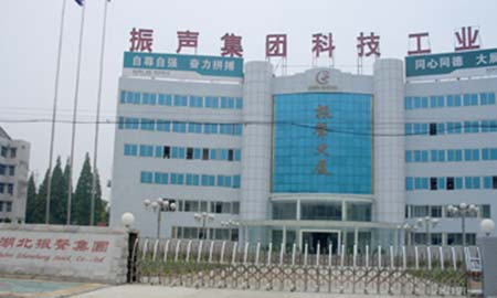 湖北振声集团